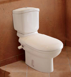 Ideal Standard Manta Toilet with Sprayer