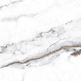 Ceramic Global_Grey Glossy 61*61 cm