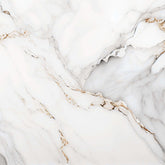 Ceramic Ramla_Grey Glossy 61*61 cm