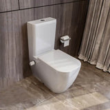 Sanipure Magnos Sticking To Wall Toilet With Sprayer White