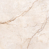 Ceramic 60/60 Glossy 61*61 cm From Granito