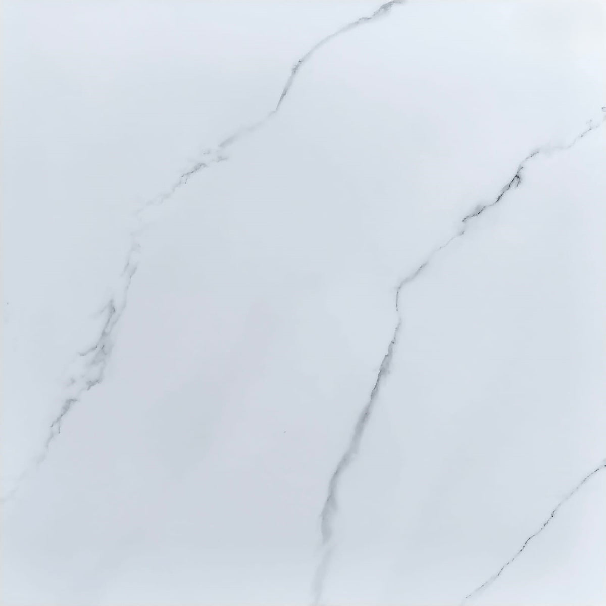 Ceramic ART Amelia Carara_grey Glossy 61*61 cm