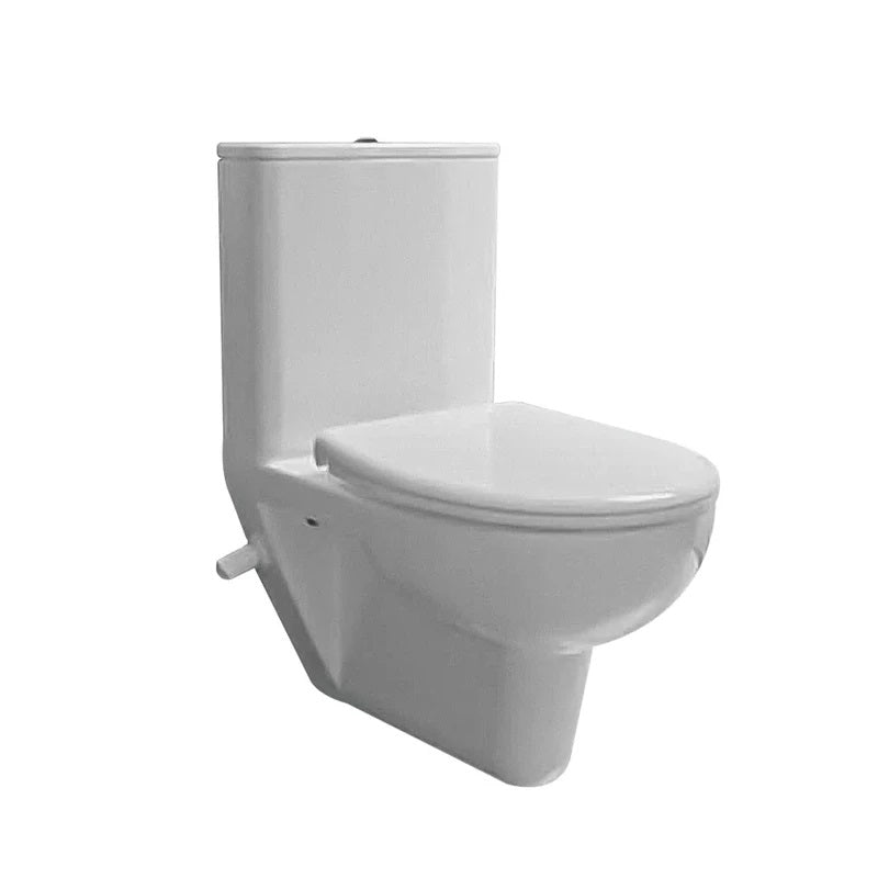 Sanipure Rosseta Bowel Combi Toilet With Douch