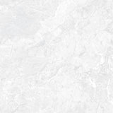 Ceramic Avanza Grey Glossy 59.5*59.5 cm from Cleopatra