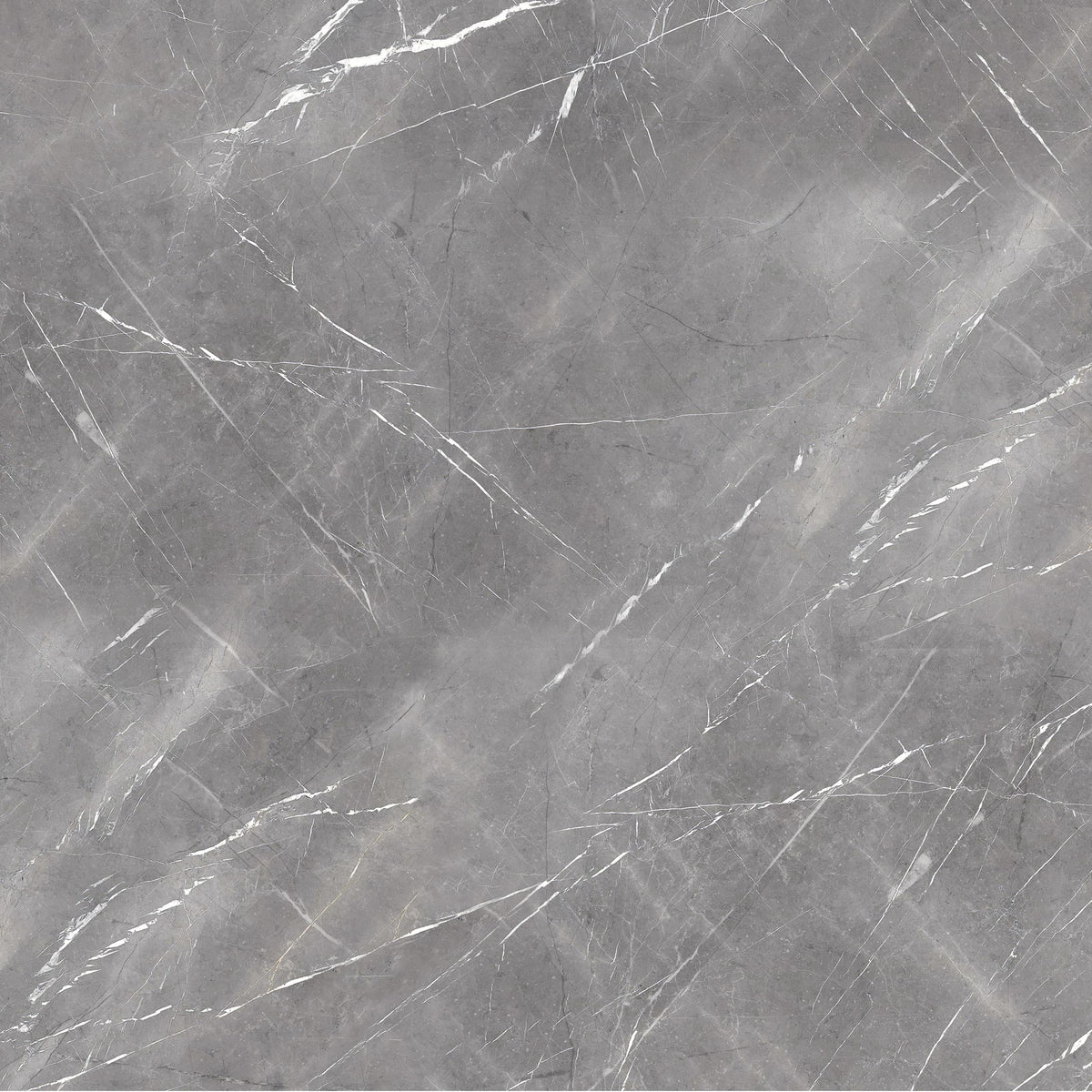 Ceramic Astrid Grey Glossy 59.5*59.5 cm