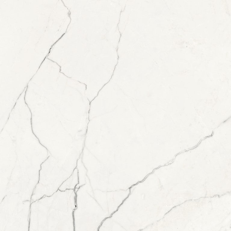 Ceramic Albino white Glossy 60*60 cm