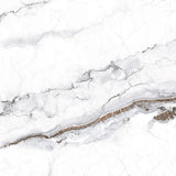 Ceramic Global_Grey Glossy 61*61 cm