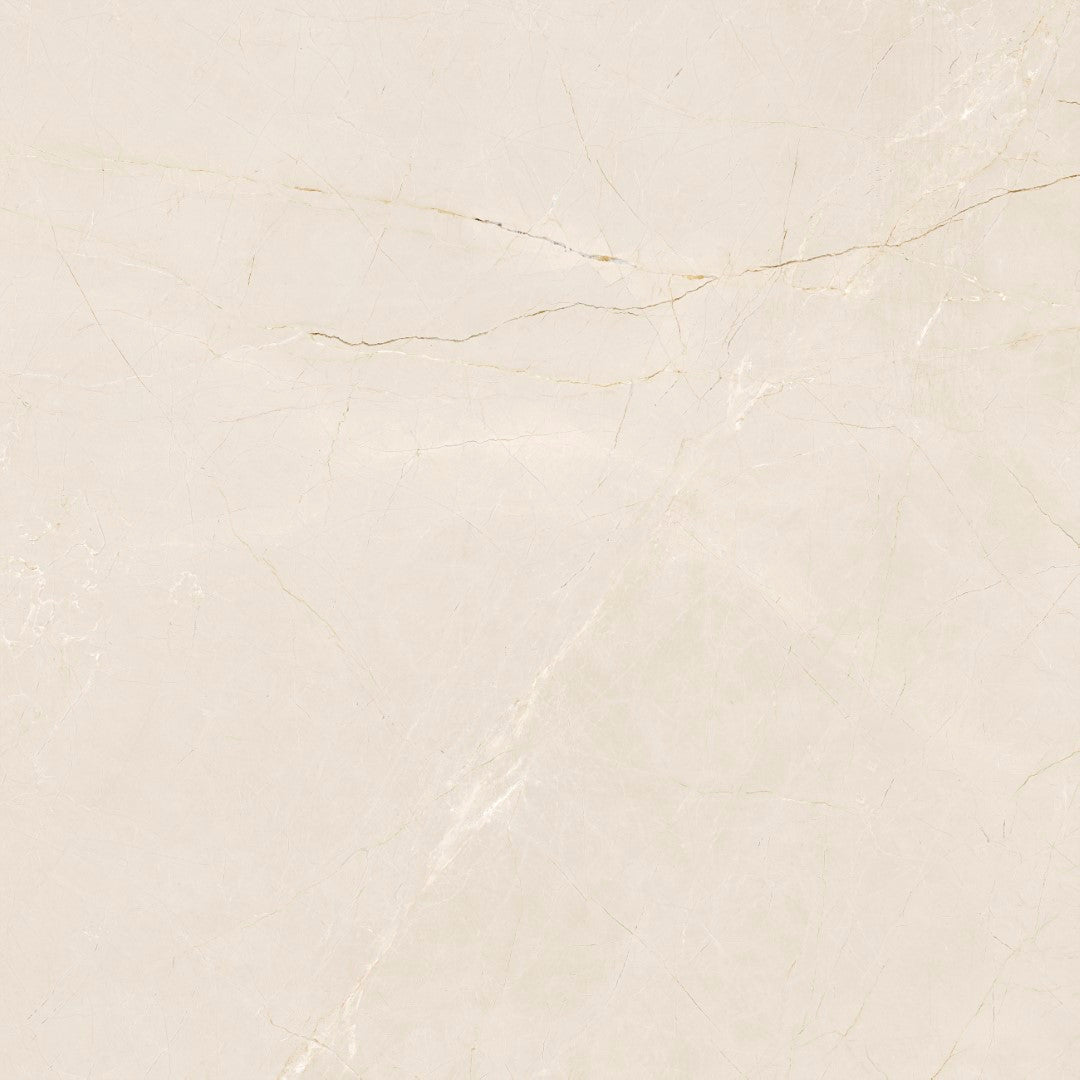 Ceramic Paloma Glossy 60*60 cm from Cleopatra