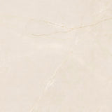 Ceramic Paloma Glossy 60*60 cm from Cleopatra