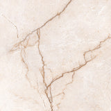 Ceramic 60/60 Glossy 61*61 cm From Granito