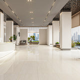 Ceramic 700/9 Glossy 120*60 cm From Granito