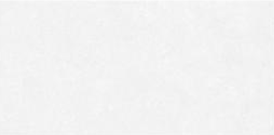 Ceramic 9246 wall ceramic From Prima 30*60 cm