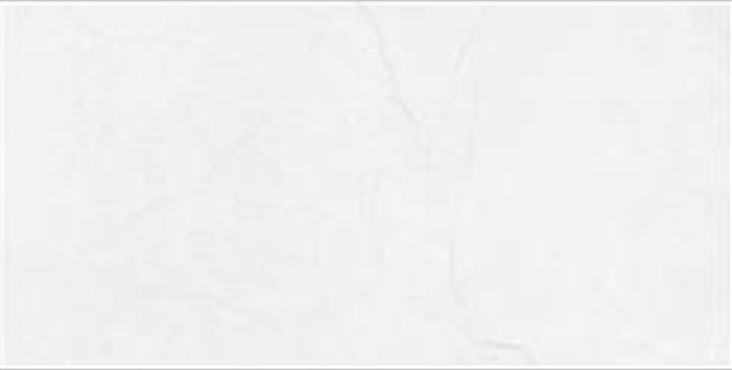 Ceramic 9296 wall ceramic From Prima 30*60 cm