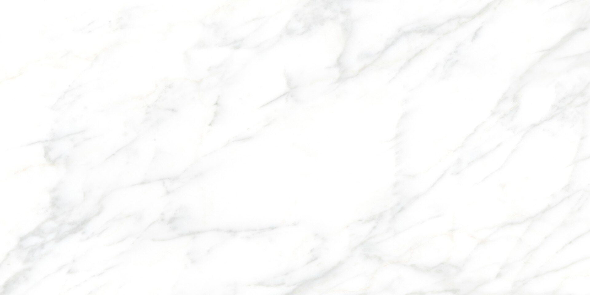 Porcelain Cleopatra Carrara White  Glossy 120*60 cm