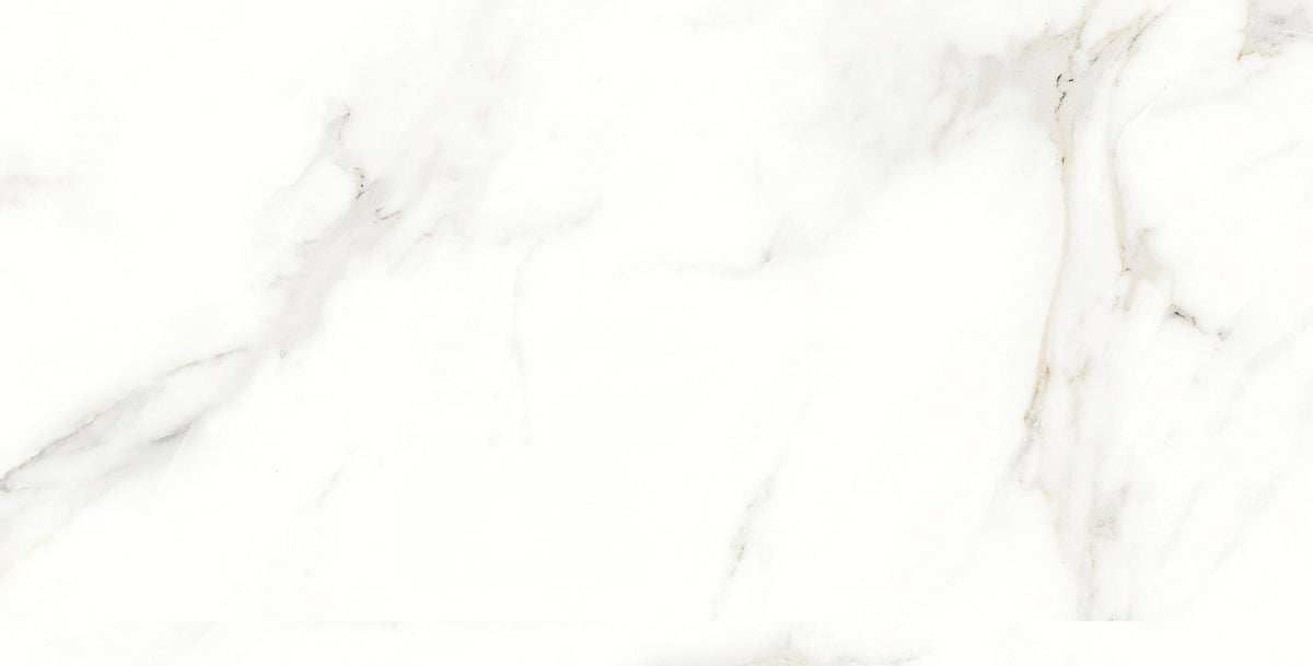 Ceramic special_7  Glossy 120*60 cm