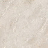 Ceramic Sumatra Glossy 59.5*59.5 cm